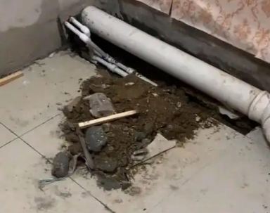贵港卫生间漏水检测哪家好